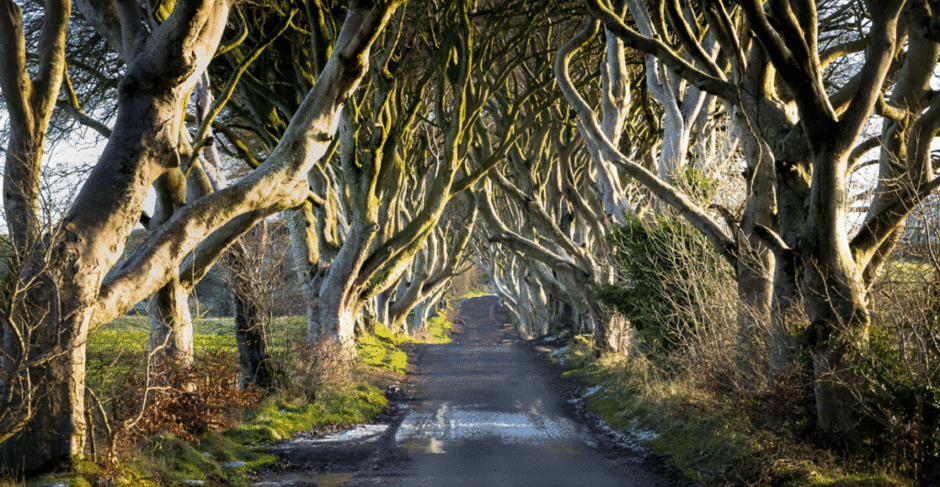 TV Tour: Explore Northern Ireland’s new Game of Thrones Studio