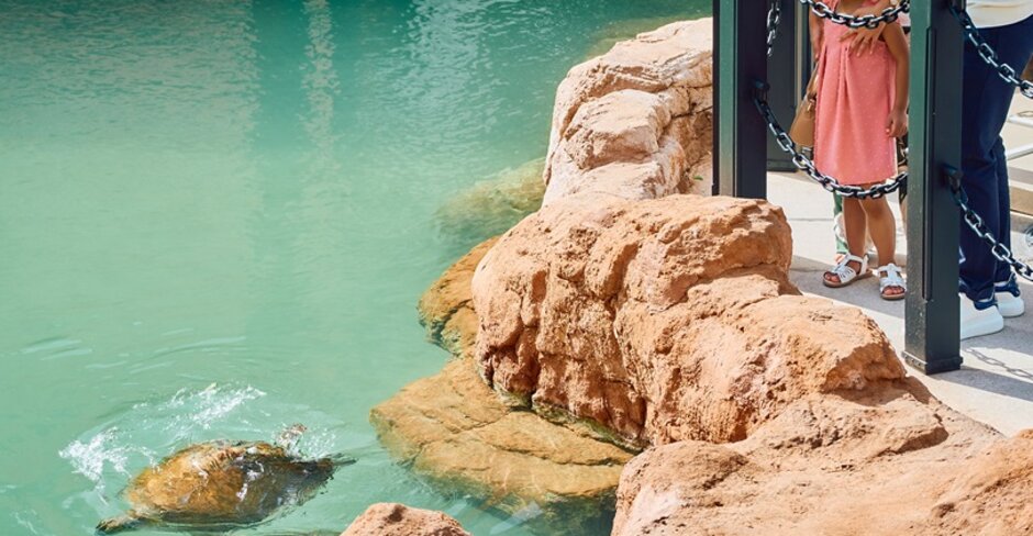 Dubai's Jumeirah Al Naseem resort launches turtle-inspired stay