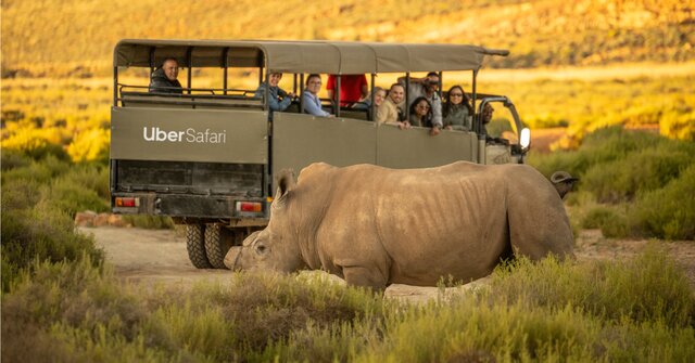 Safari day trips now available on Uber app in South Africa