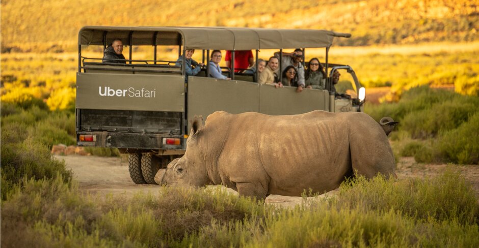 Safari day trips now available on Uber app in South Africa