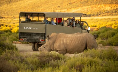 Safari day trips now available on Uber app in South Africa