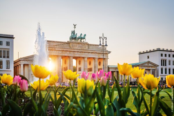 German National Tourist Office promotes new flight routes between Gulf and Berlin