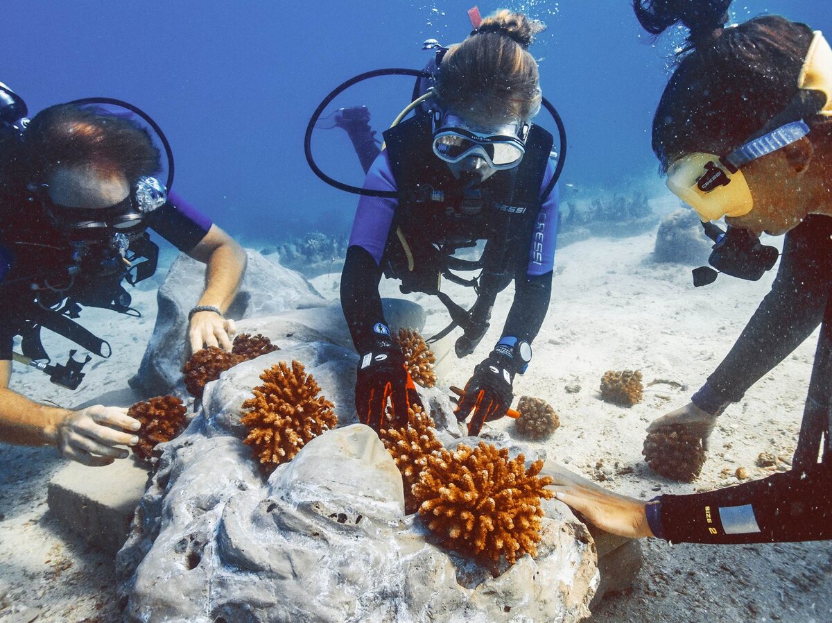 Jumeirah Thanda Island Tanzania, diving