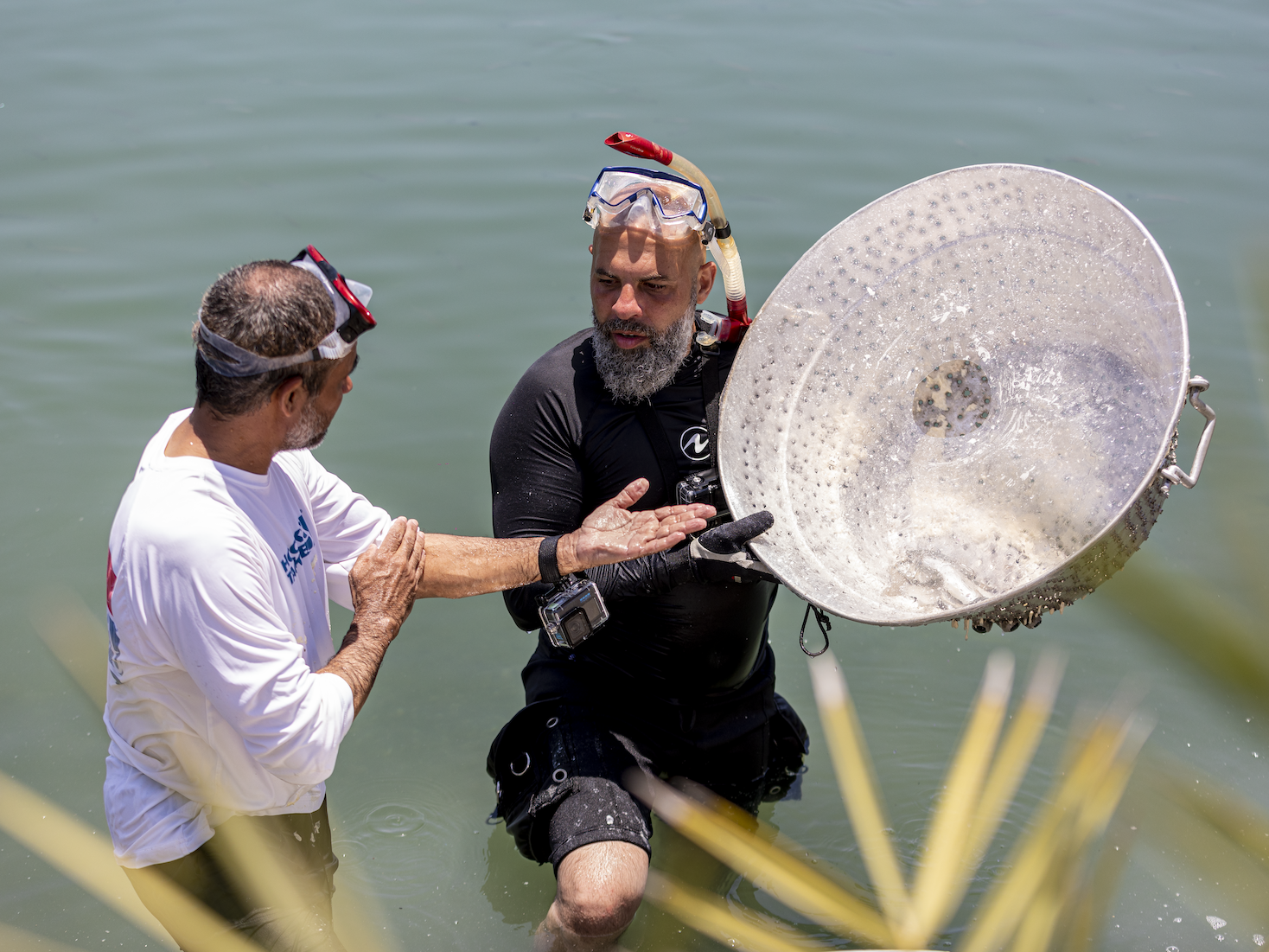 TV series to showcase Fujairah in the UAE