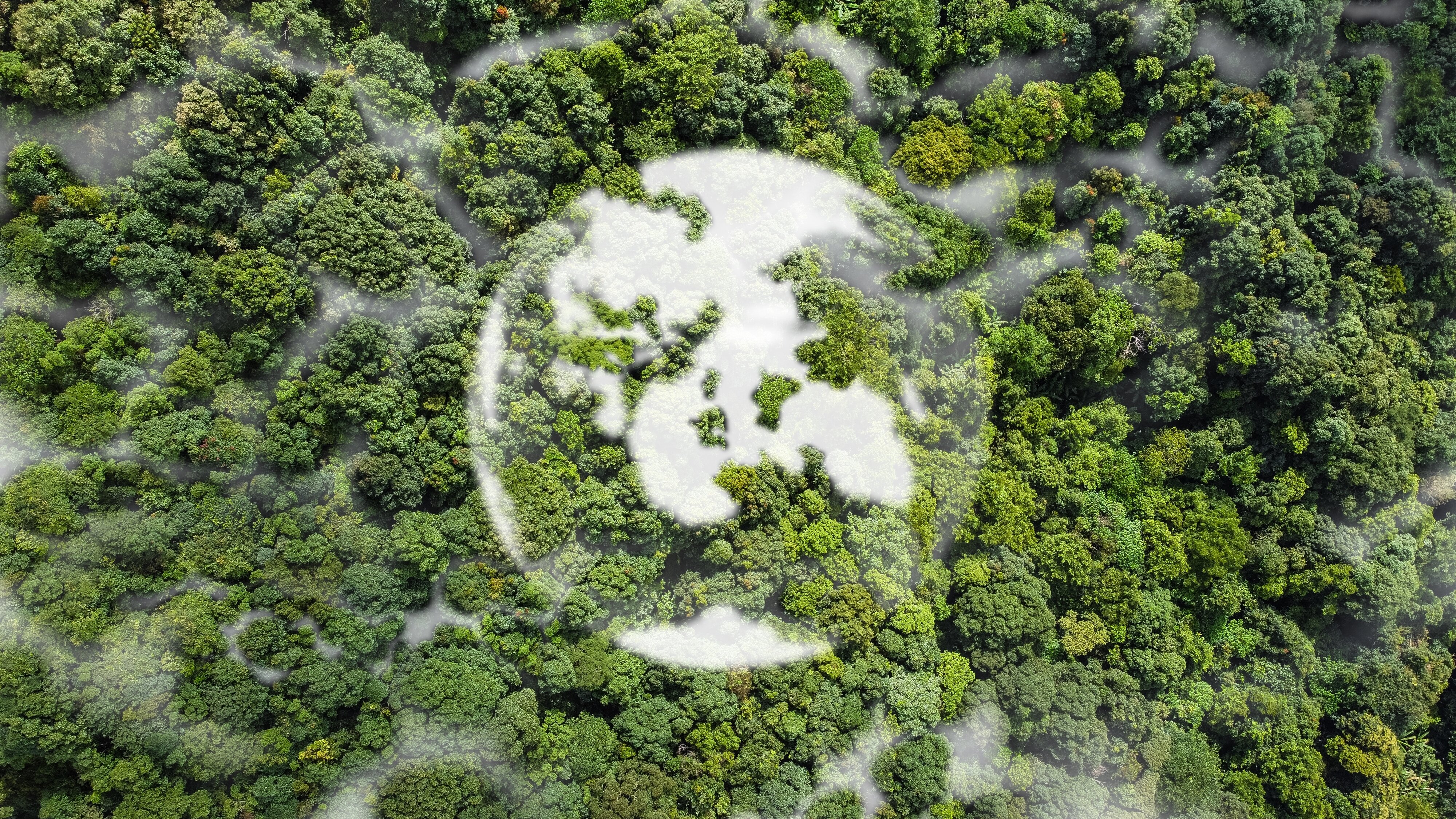 Free climate training course launched for tourism organisations