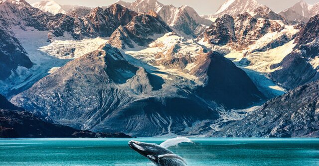 The complete guide to selling Alaska cruises