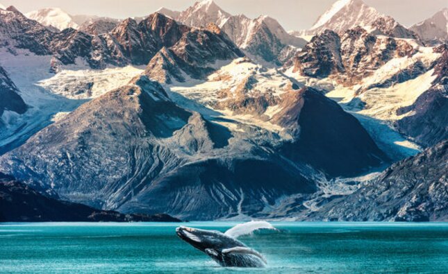 The complete guide to selling Alaska cruises