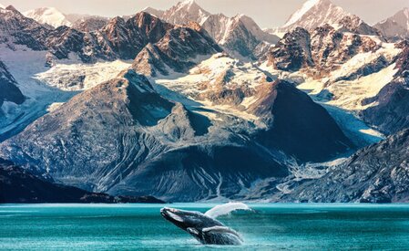 The complete guide to selling Alaska cruises