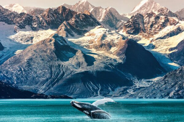 The complete guide to selling Alaska cruises