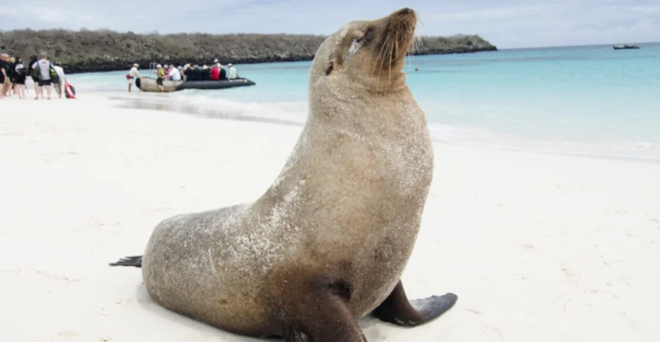 Celebrity Cruises opens bookings for Galapagos voyages in 2027