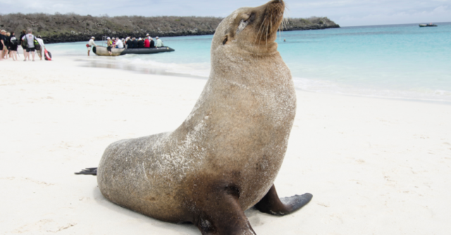 Celebrity Cruises opens bookings for Galapagos voyages in 2027