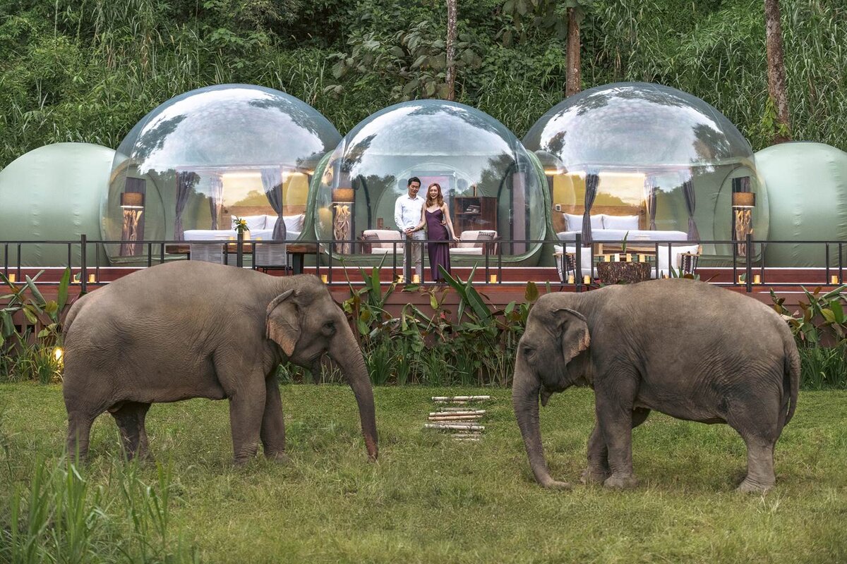 Anantara Golden Triangle resort