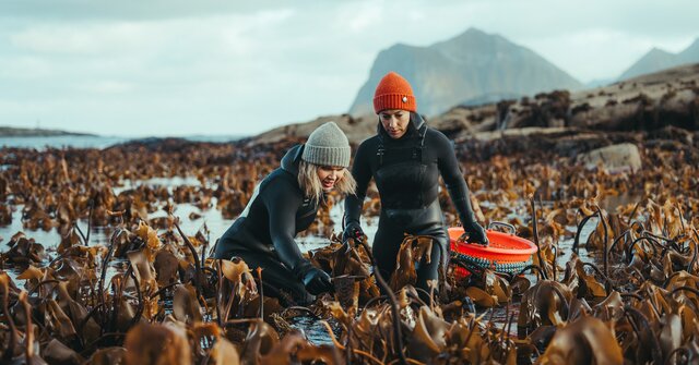 Hurtigruten launches culinary-themed cruise itinerary
