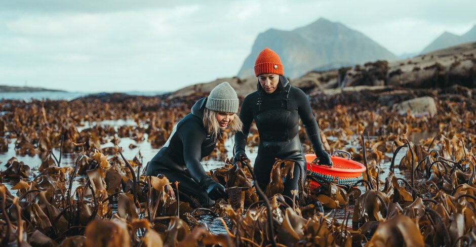 Hurtigruten launches culinary-themed cruise itinerary