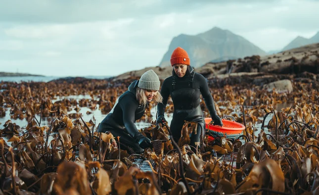 Hurtigruten launches culinary-themed cruise itinerary