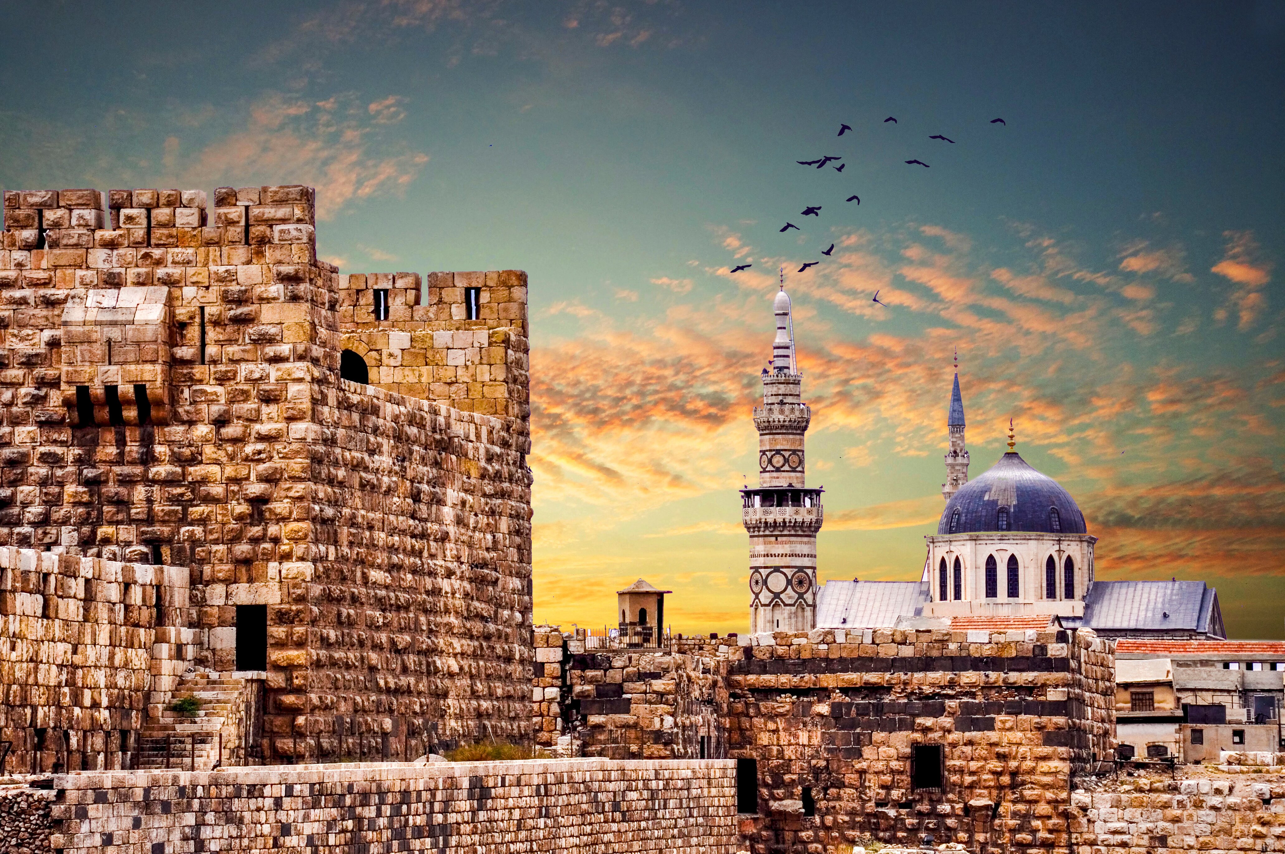 Flynas to launch two services connecting Saudi Arabia and Syria