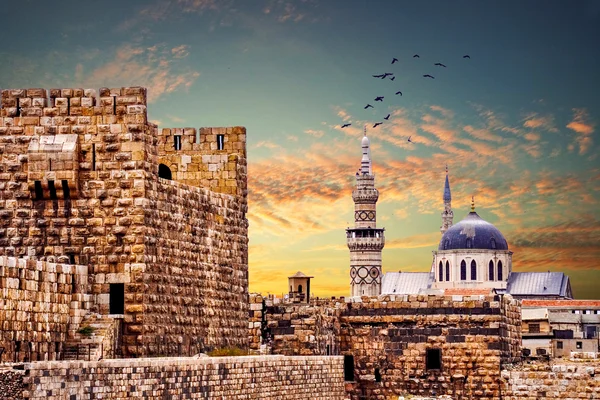 فلاي ناس تطلق خدمتين تربطان بين السعودية وسوريا