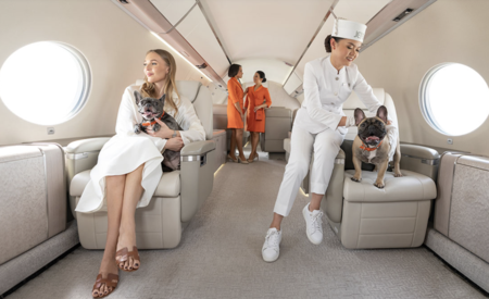 UAE to offer world’s first private aviation diploma
