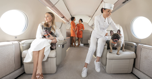 UAE to offer world’s first private aviation diploma