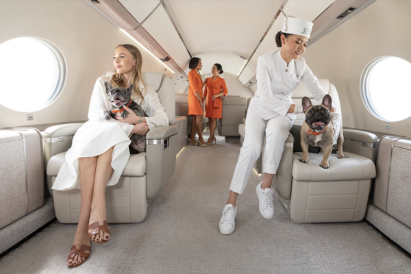 UAE to offer world’s first private aviation diploma