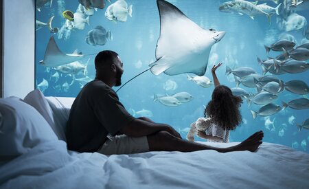 Dubai’s Atlantis, The Palm hotel unveils brand campaign