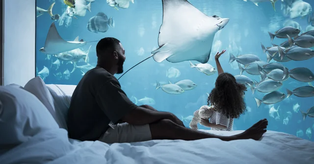 Dubai’s Atlantis, The Palm hotel unveils brand campaign