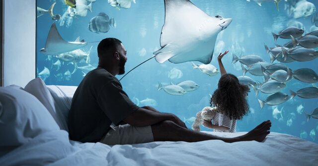 Dubai’s Atlantis, The Palm hotel unveils brand campaign