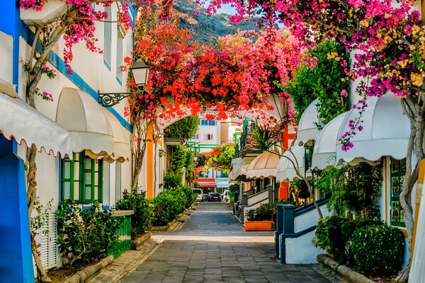 Middle East’s Wego and Spain Tourism partner on summer campaign