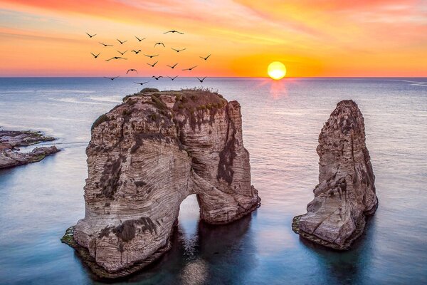 ويز إير أبوظبي تطلق رحلات إلى لبنان وأذربيجان