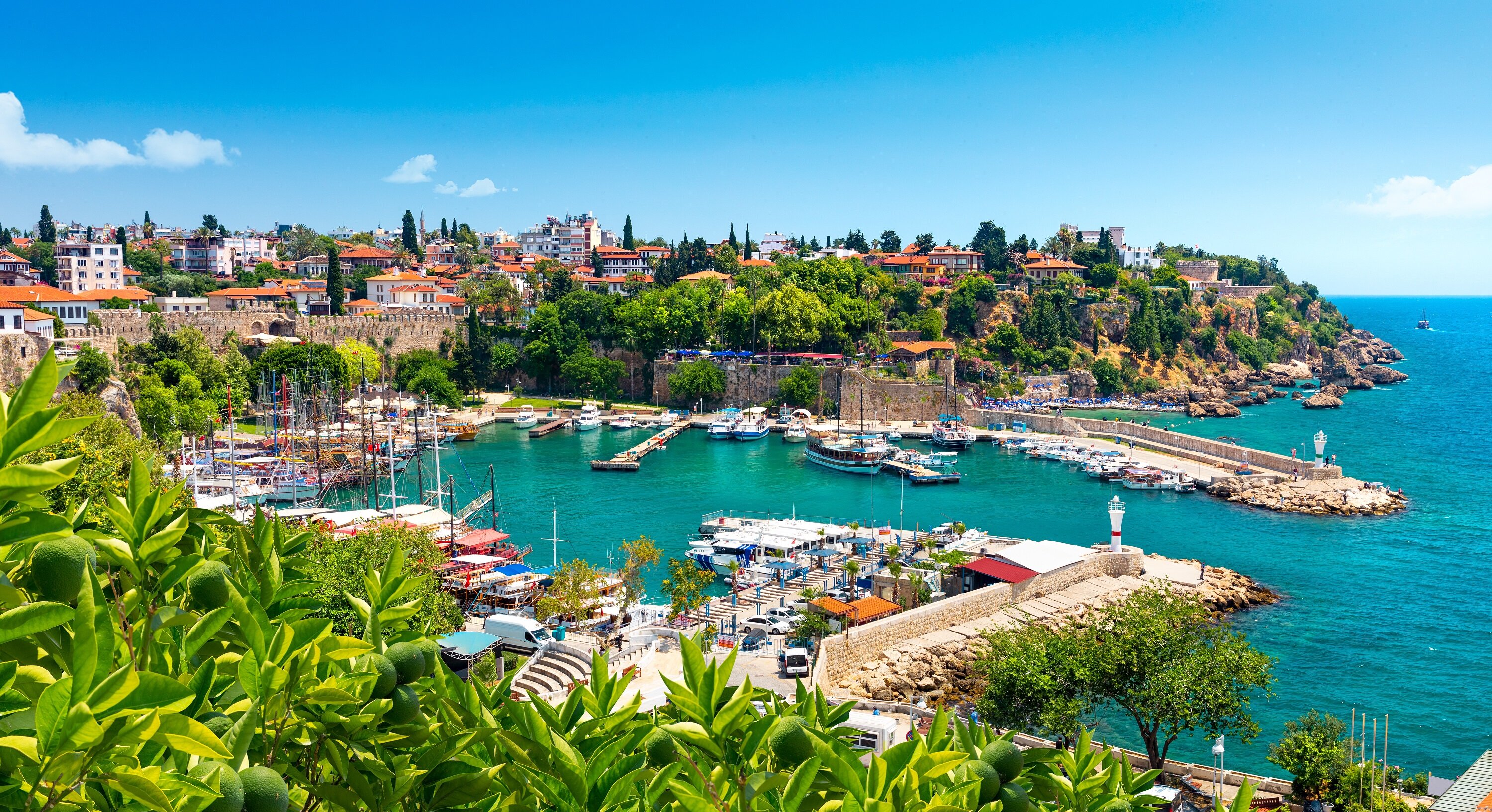 Turkish Airlines rolls out holiday platform to UAE
