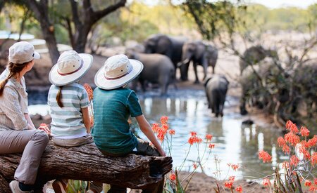 The best family-friendly safaris, according to the experts