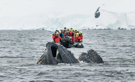 Hurtigruten Expeditions donates more than 1,100 cruise nights to researchers